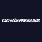 Blago moška denarnica Secrid